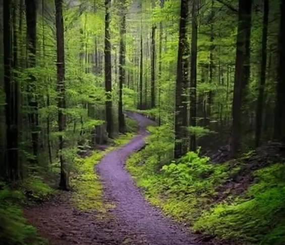 bendor and graves tract